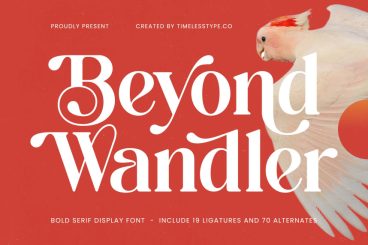 Beyond Wandler Font