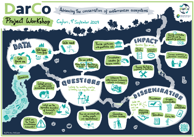 Illustration summarizing the DarCo Project Workshop themes: data, questions, impact, and dissemination for subterranean ecosystem conservation.