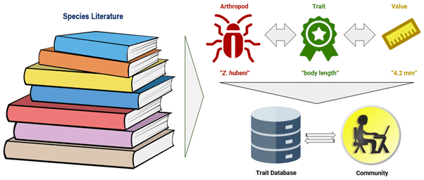 Illustration depicting species literature feeding data on arthropod traits into a database, linking researchers and the community.