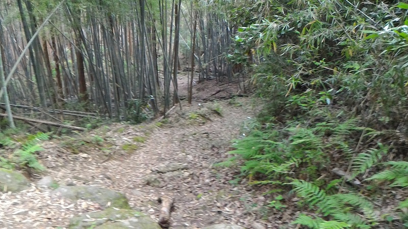 f:id:Daisuke-Tsuchiya:20160521230348j:plain f:id:Daisuke-Tsuchiya:20160521230348j:plain