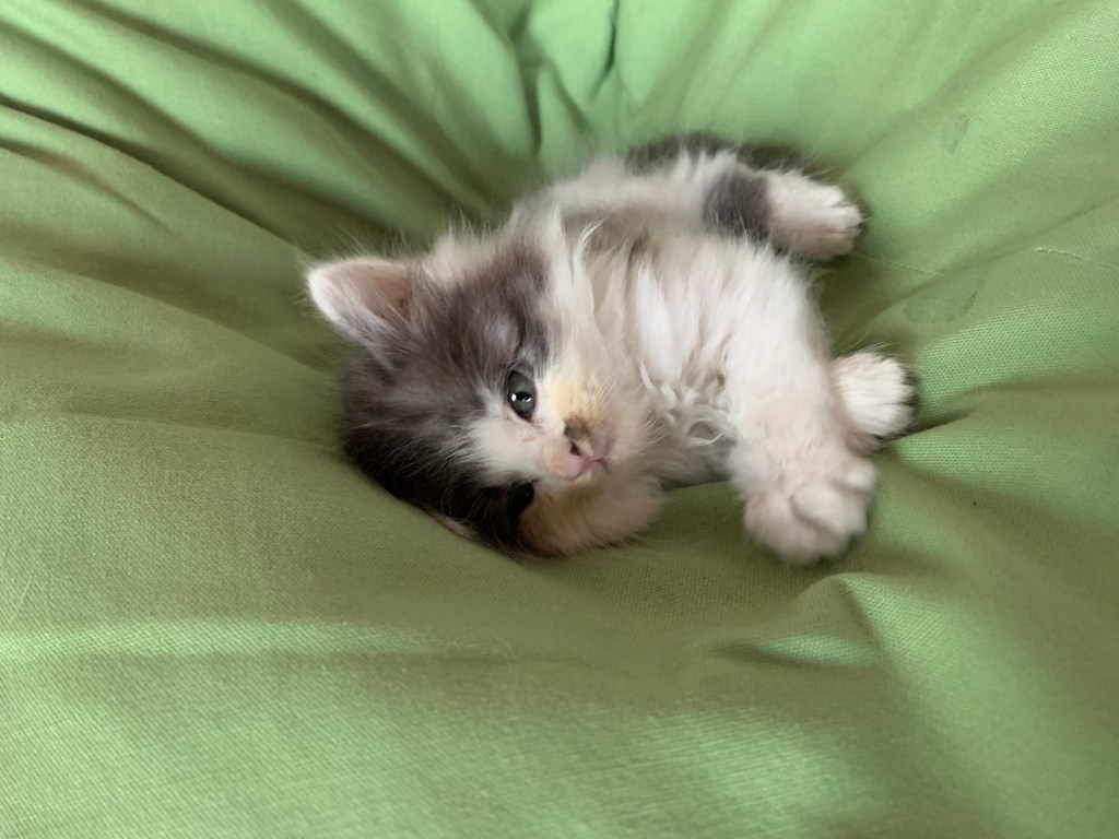 2日目のちゃ〜ちゃん