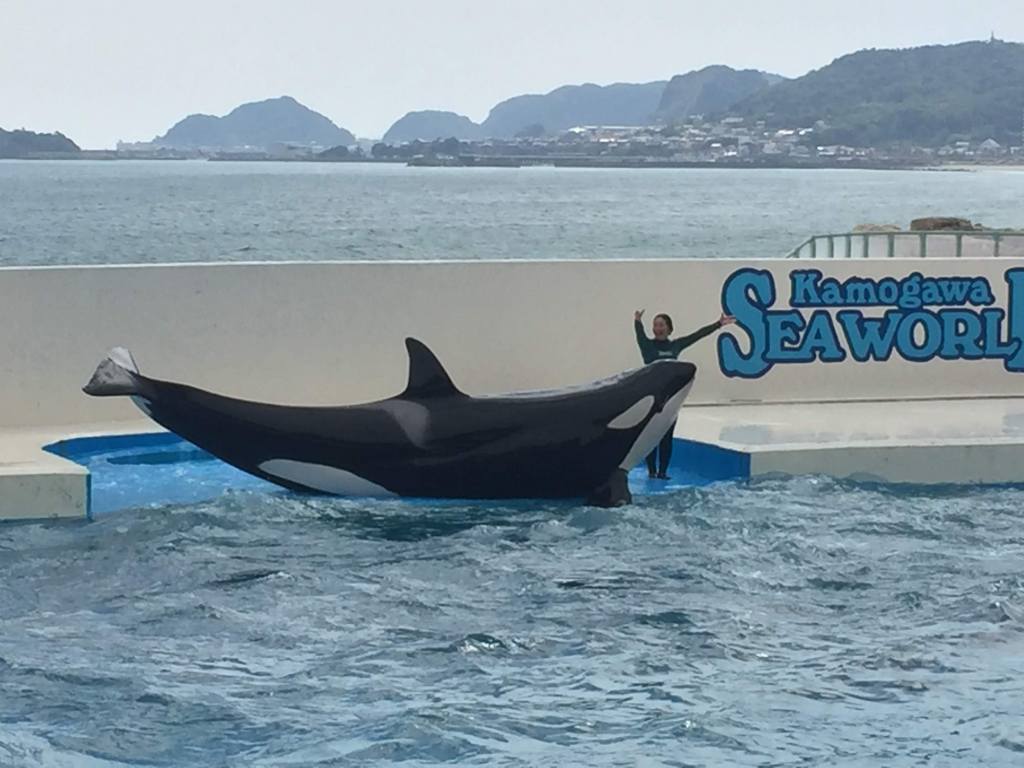 鴨川シーワールドしゃち