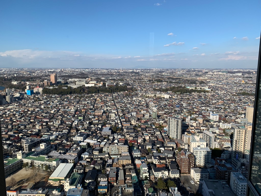 市川無料展望台からの眺め