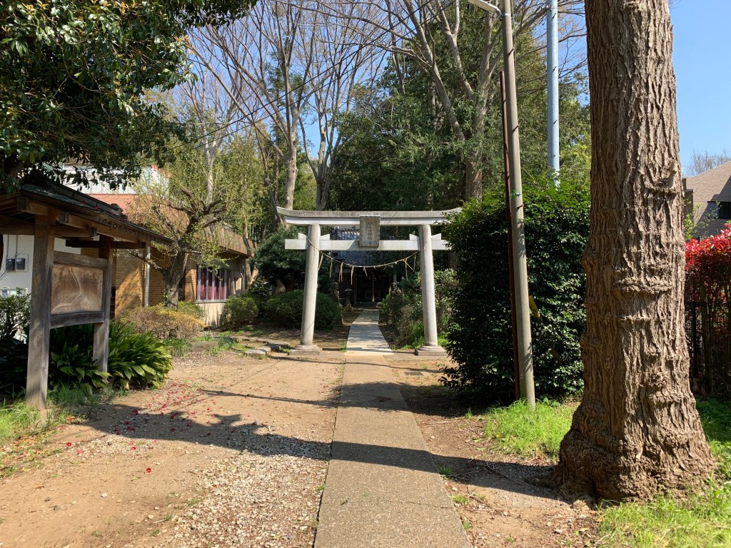 安房須神社鳥居