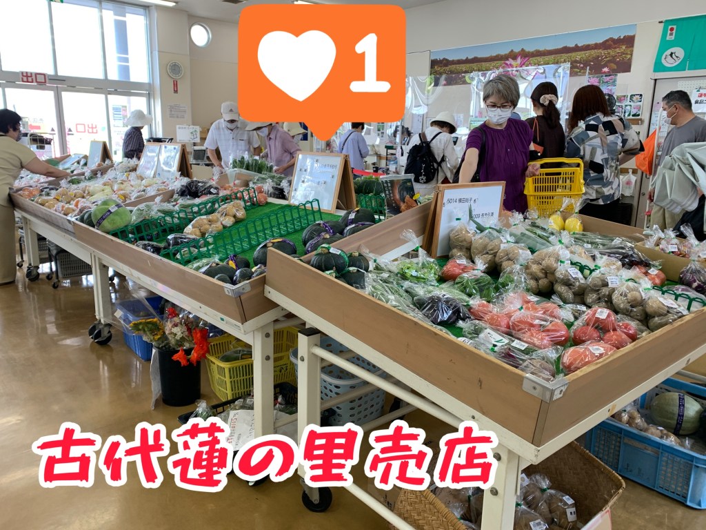 古代蓮の里売店