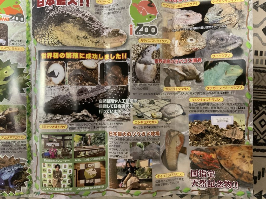 体験型動物園伊豆ーの爬虫類たち