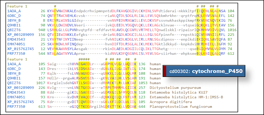Conserved Domain Database version 3.19 is available!