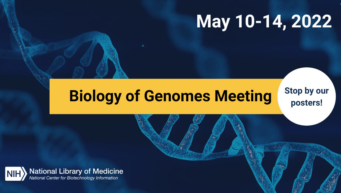 NCBI Posters at the Biology of Genomes Meeting