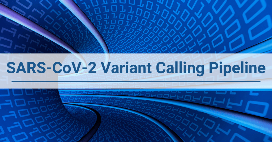 Announcing the NCBI SARS-CoV-2 Variant Calling Pipeline and Related Data Products