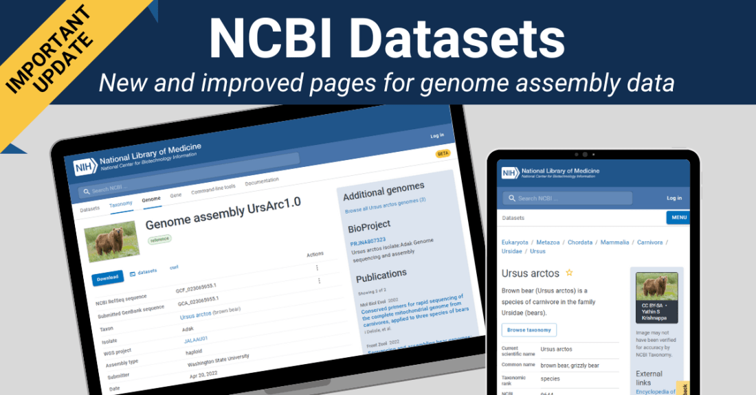 New & Improved NCBI Datasets Genome and Assembly Pages