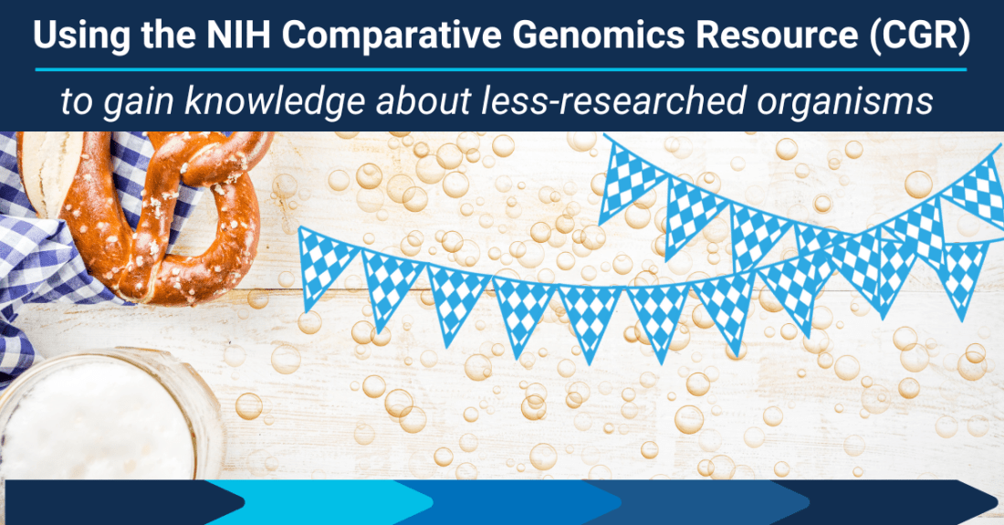 Comparing Yeast Species Used in Beer Brewing and Bread Making
