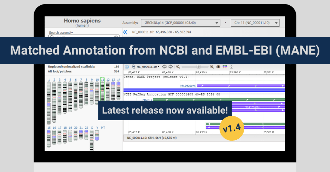 MANE v1.4 with MANE Select for Non-Coding Genes