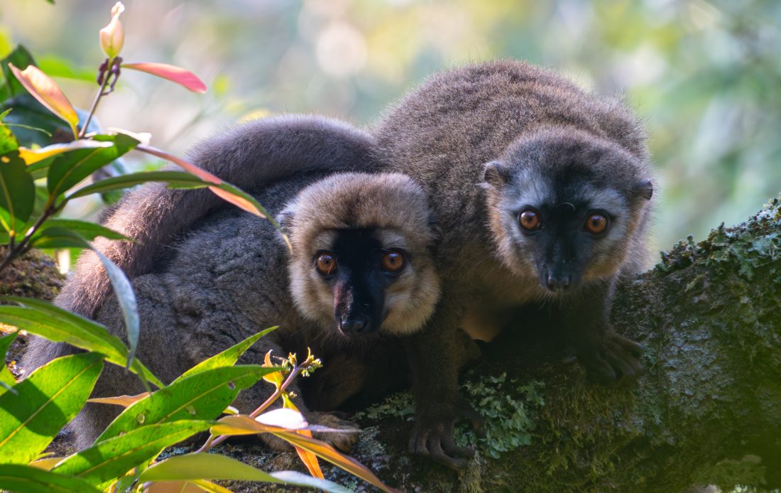 RefSeq Release 227 is Available!