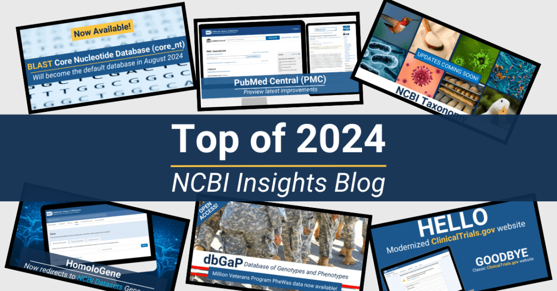 Top of 2024: A Look at the NCBI Insights Blog