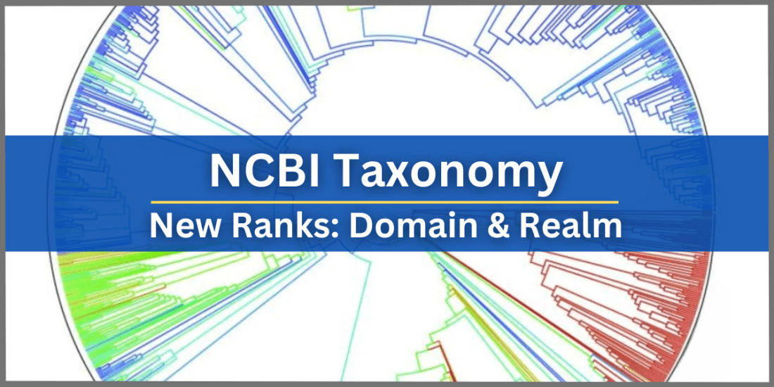 New Ranks in NCBI Taxonomy: Domain & Realm
