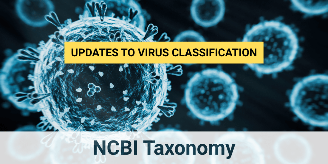NCBI Taxonomy Updates to Virus Classification