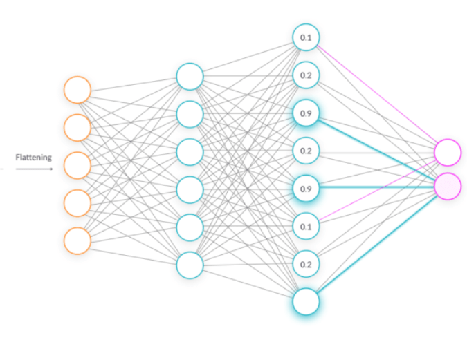 Fully connected layers