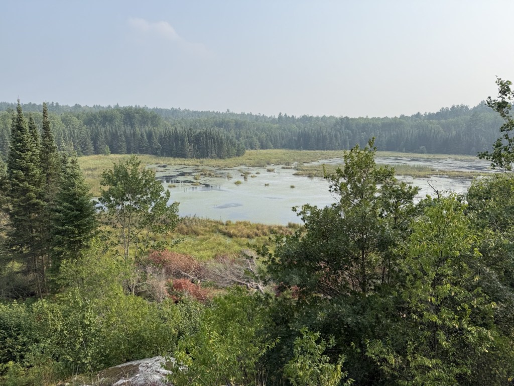 Beaver Pond Overlook Trail Beaver Pond Overlook Trail