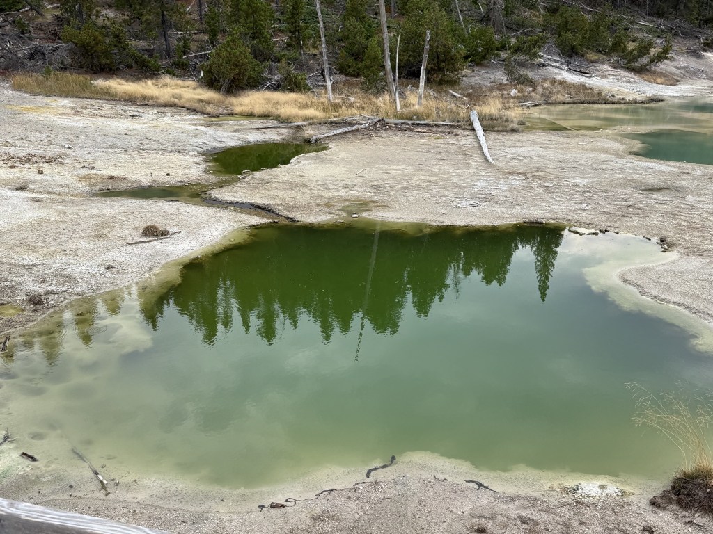 Norris Geyser Basin Norris Geyser Basin