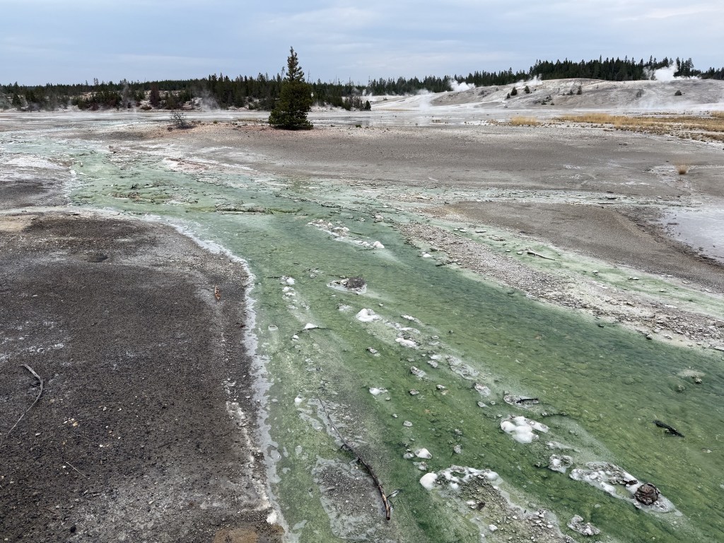 Norris Geyser Basin Norris Geyser Basin