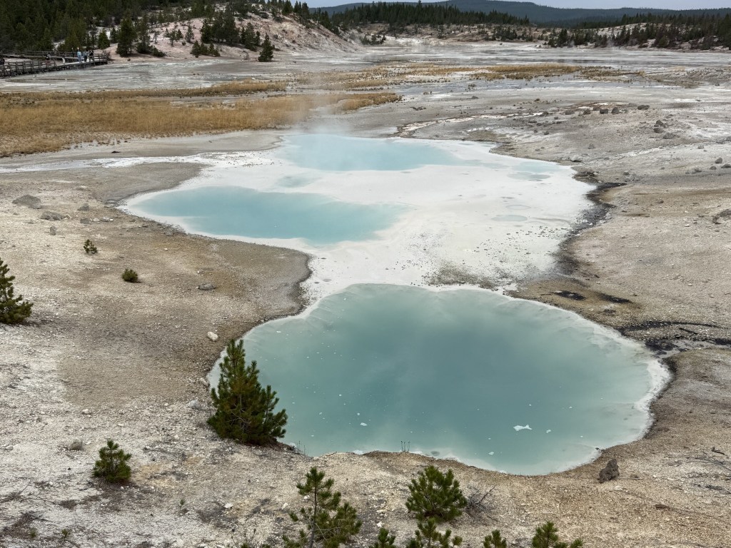Norris Geyser Basin Norris Geyser Basin