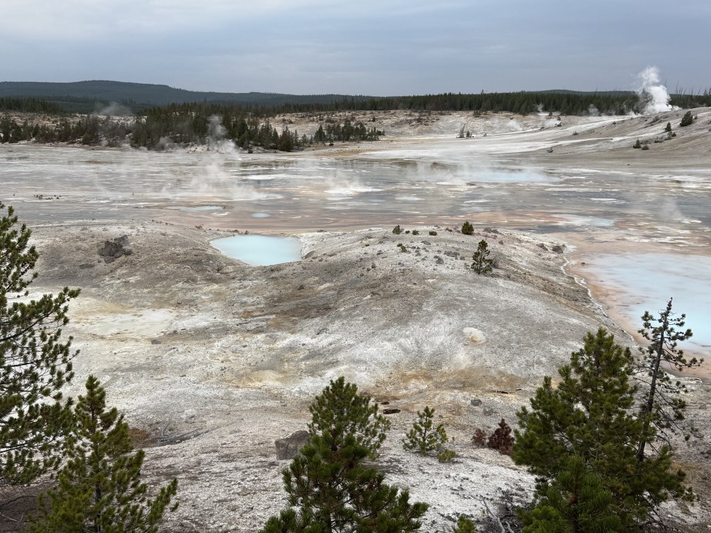 Norris Geyser Basin Norris Geyser Basin