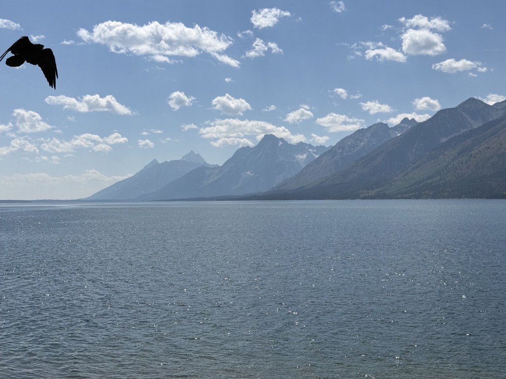 Jackson Lake Jackson Lake