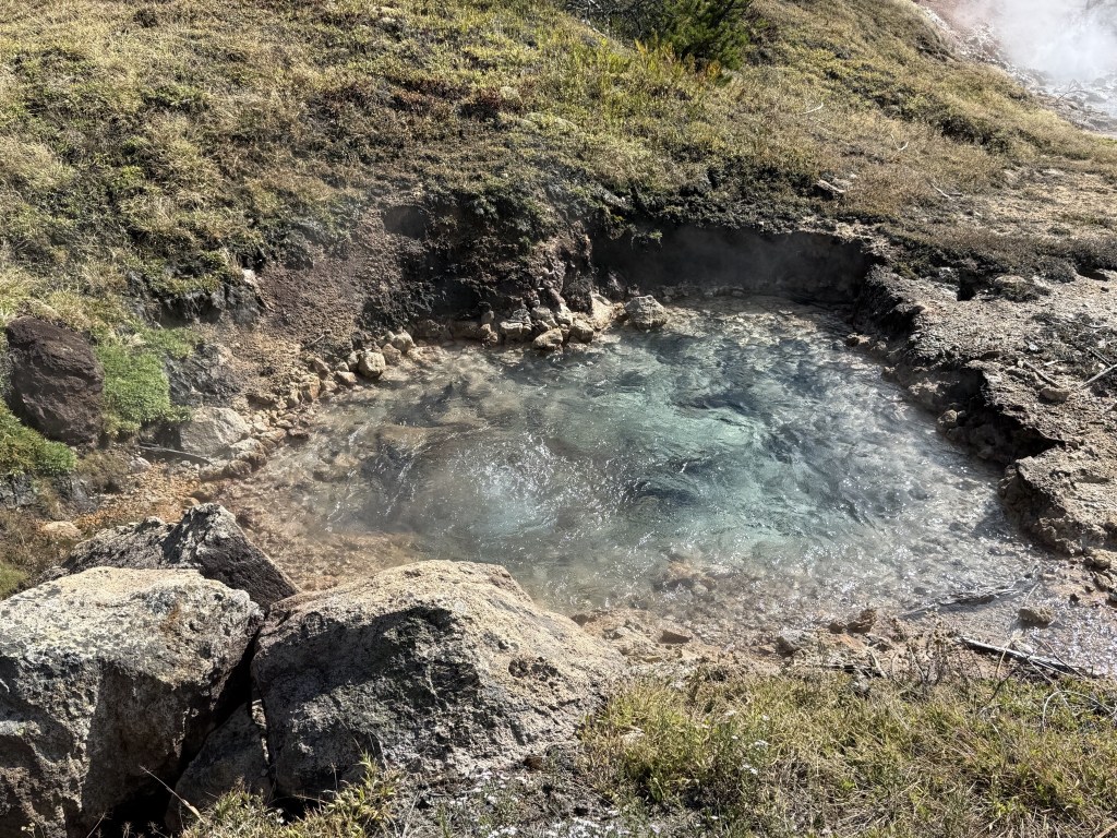 Artusts' Paintpots Artusts' Paintpots