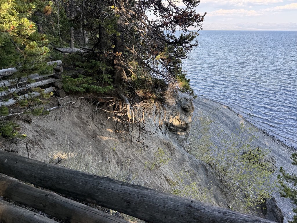 Picnic area Picnic area