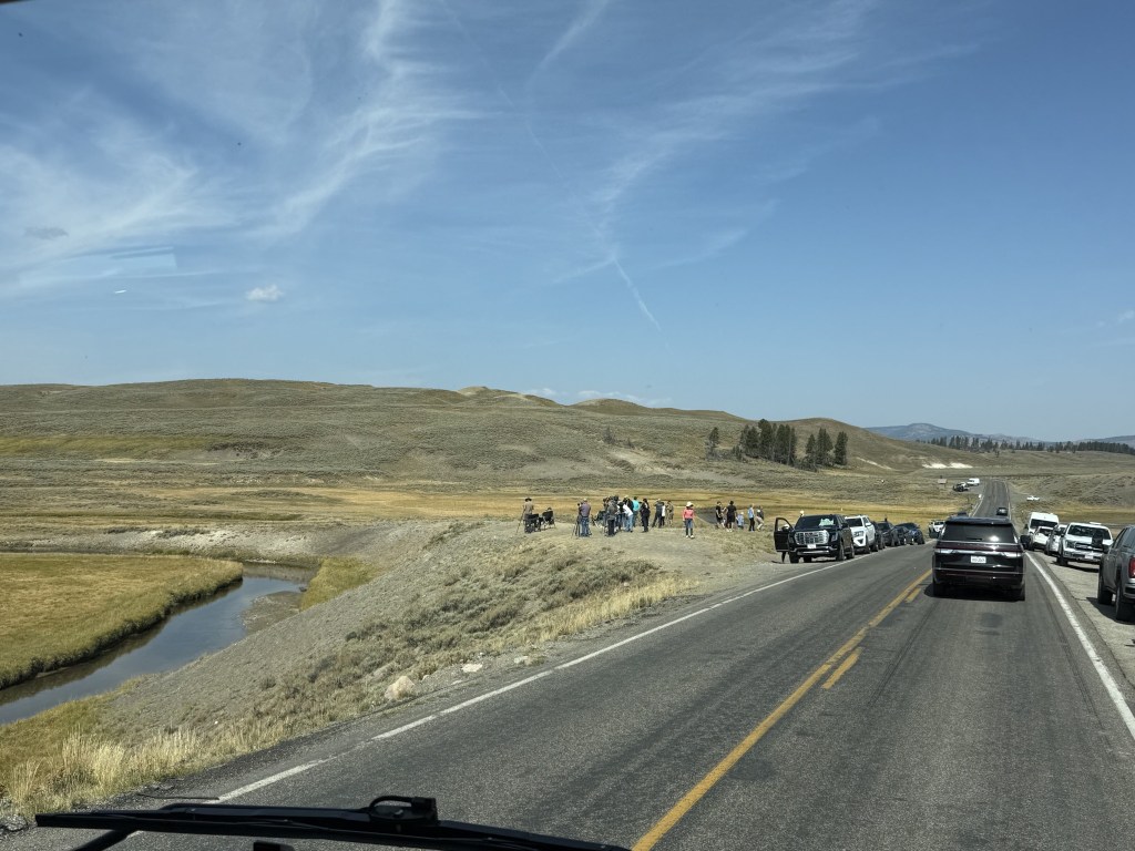 Crowd watching something Crowd watching something