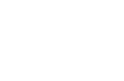 Ansys