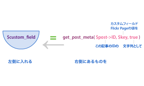 カスタムフィールドの値を代入 カスタムフィールドの値を代入