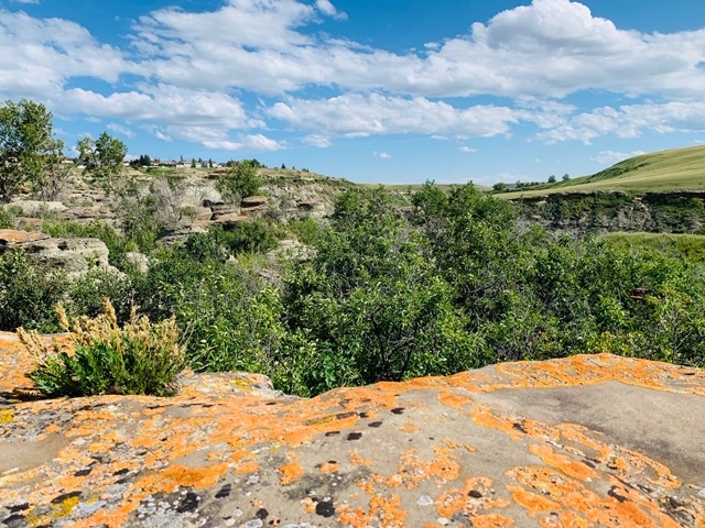 Sunset RV Park Sunset RV Park