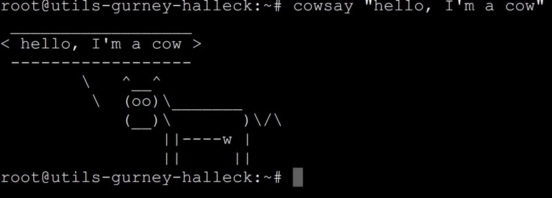 A Brief History of the Command Line Interface