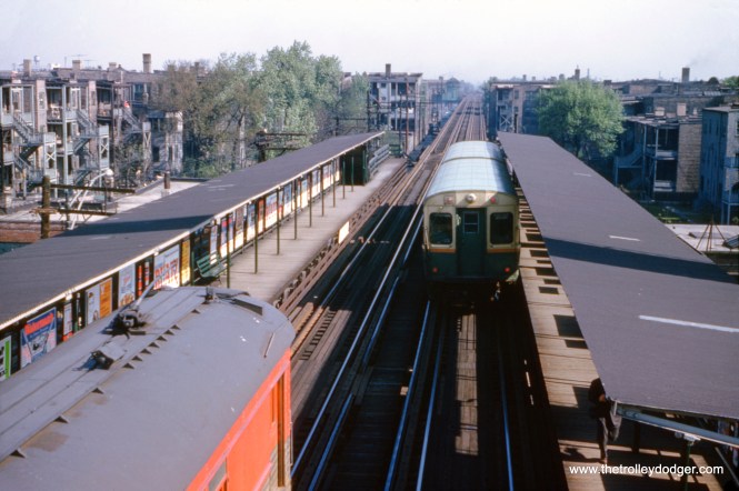 On May 15, 1960, a northbound CTA Jackson Park train is at 61st Street, while North Shore Line car 251, at left, is on a fantrip, running to places where NSL cars had not been since 1938. (William C. Hoffman Photo)