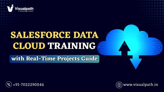 Salesforce Data Cloud Training with Real-Time Projects Guide