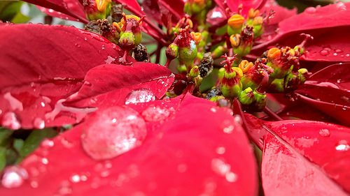 WordPress Meetup Lahore