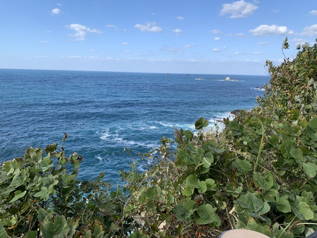 須佐ホルンフェルス