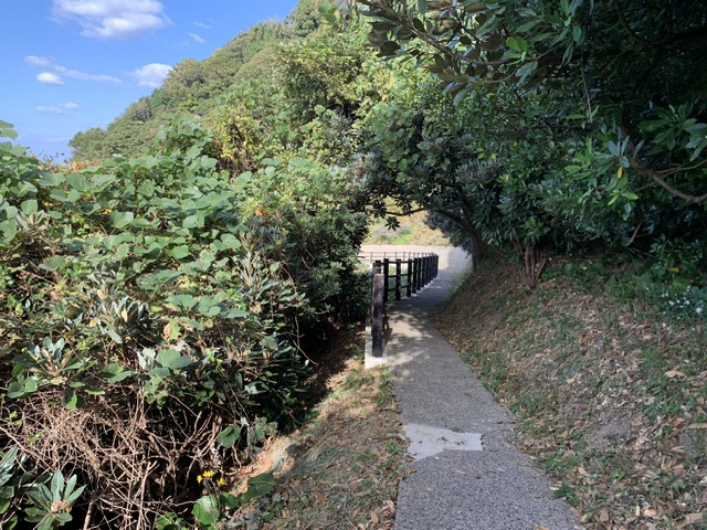 須佐ホルンフェルス