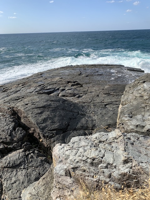 須佐ホルンフェルス