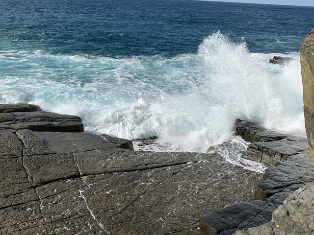 須佐ホルンフェルス