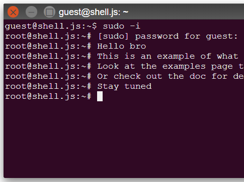 Create Custom Terminals With Pure JavaScript And CSS – shell.js