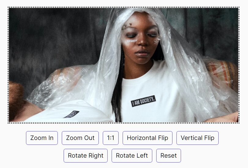 Canvas Based Image Viewer In JavaScript – viewer.js