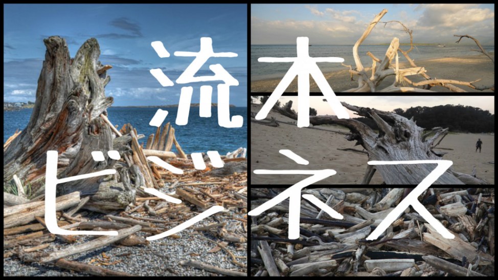 f:id:Daisuke-Tsuchiya:20160728122957j:plain f:id:Daisuke-Tsuchiya:20160728122957j:plain