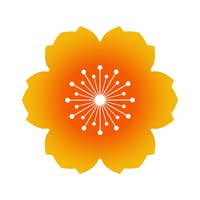 Carrizo Plain Carrizo Plain