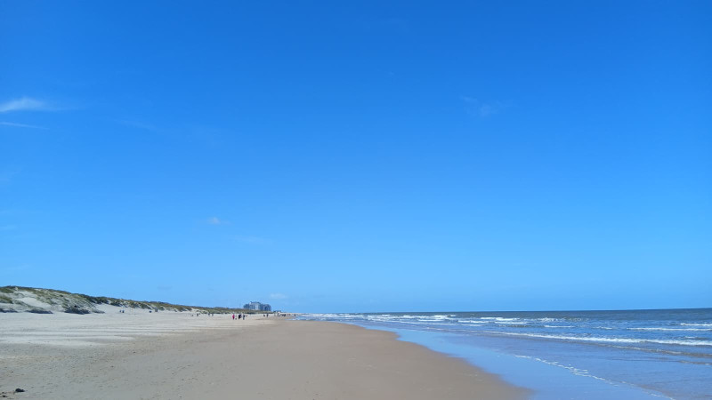 WhatsApp Image 2026-04-14 at 23.39.30 (1).jpeg WhatsApp Image 2026-04-14 at 23.39.30 (1).jpeg