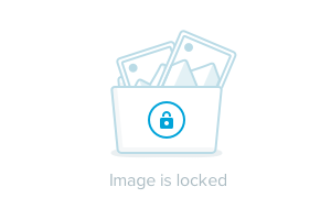 imagejpeg_0.png imagejpeg_0.png