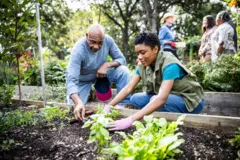 Un père et sa fille adulte travaillent dans un jardin communautaire