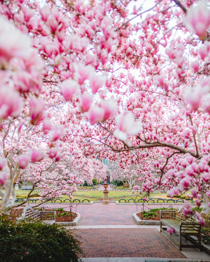 Enid Haupt Garden DC Smithsonian 18