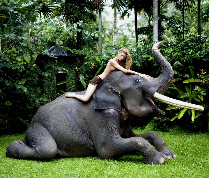 Sarah Mutch Sarah Mutch